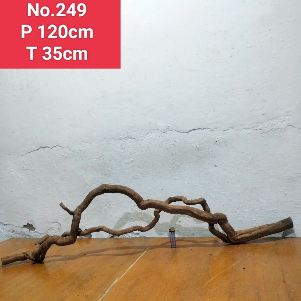 bonggol akar Rasamala size XXL akar dekorasi aquascape 249