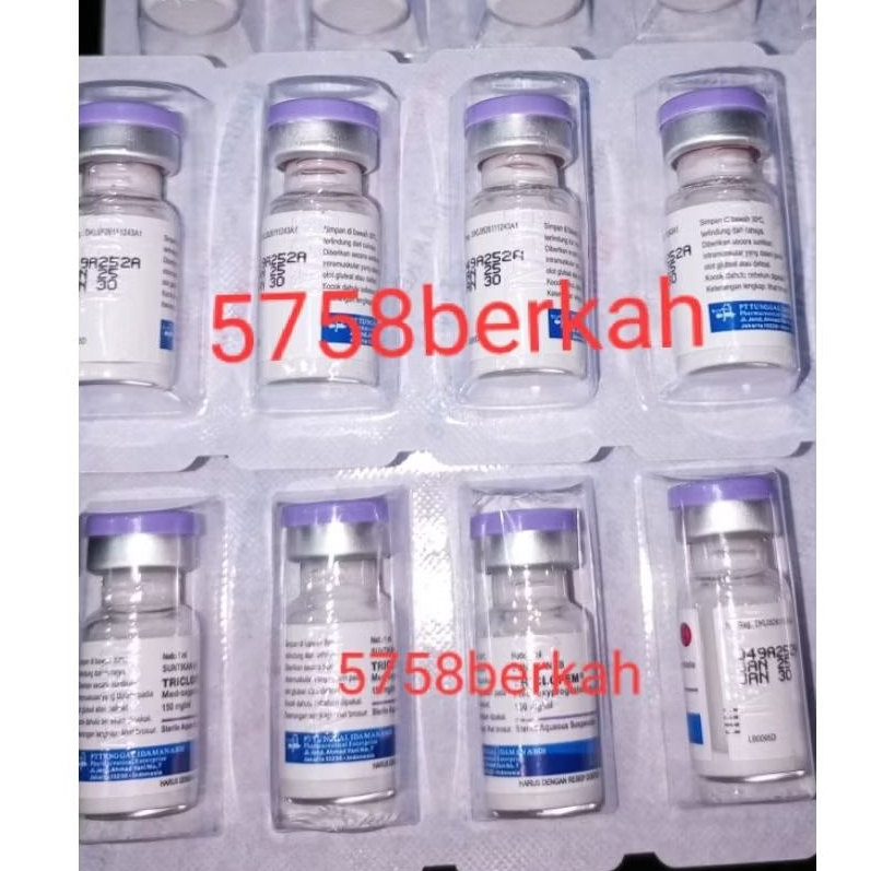 kb kucing 3bulan,kelinci,anjing