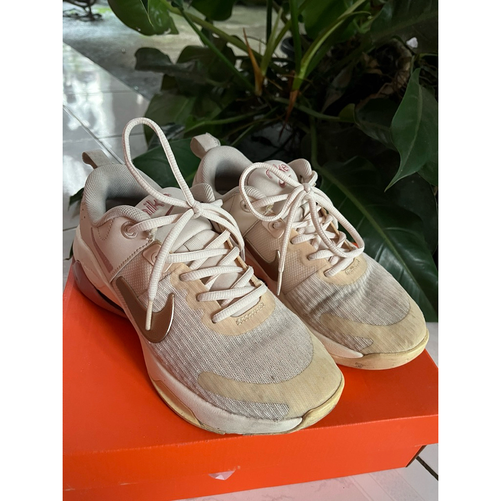 Nike Shoes (Preloved)