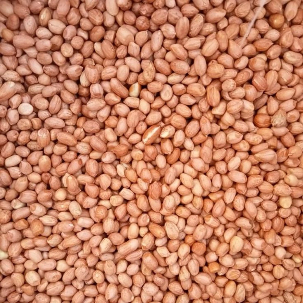 Kacang Tanah Super 1Kg