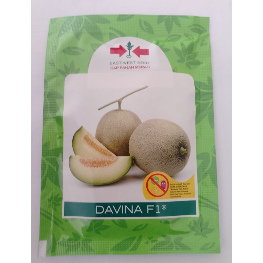 Benih Melon Davina F1- CAP PANAH MERAH