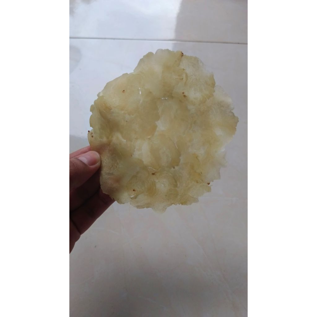 Emping Melinjo Lebar