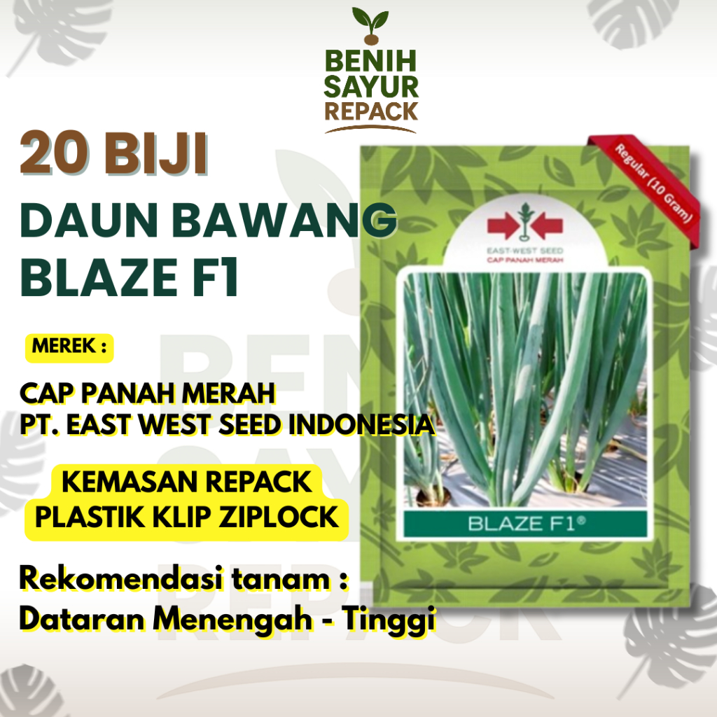 20 Biji Benih Daun Bawang Blaze F1 - CAP PANAH MERAH BAWANG DAUN BLAZE F1 [ BENIH SAYUR REPACK ]