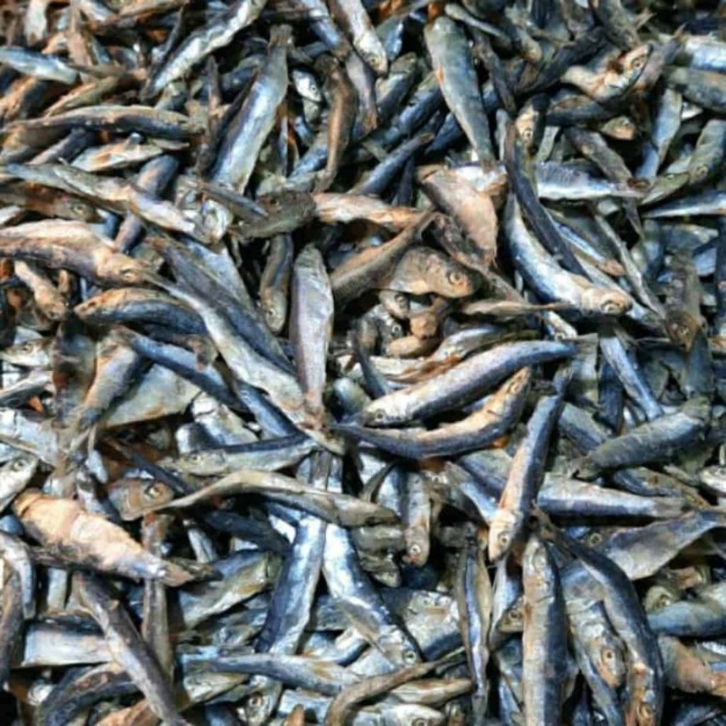 Ikan Asin teri batu hitam