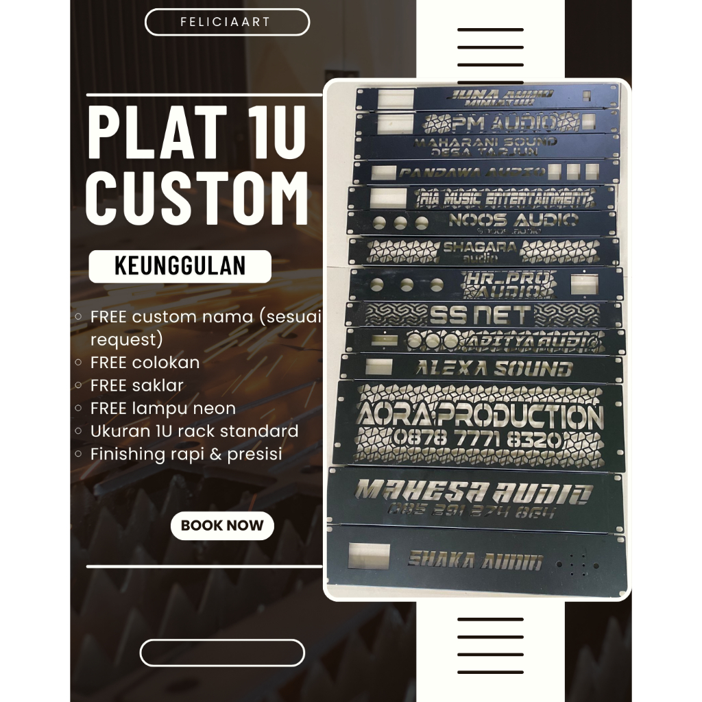 plat 1u custom