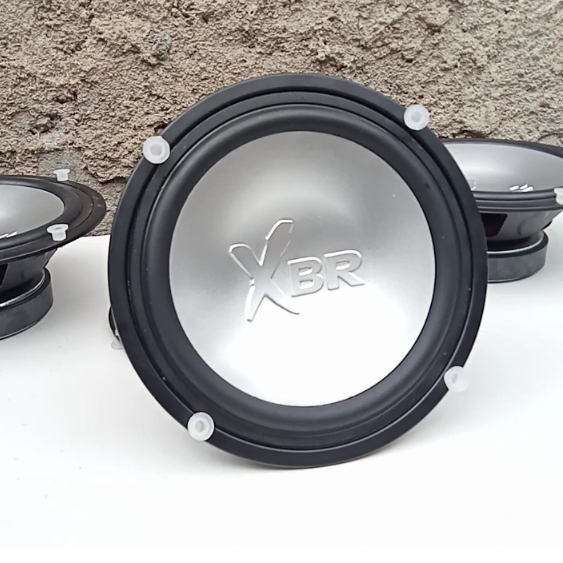 Speaker super cool polytron 8 inch - A8307