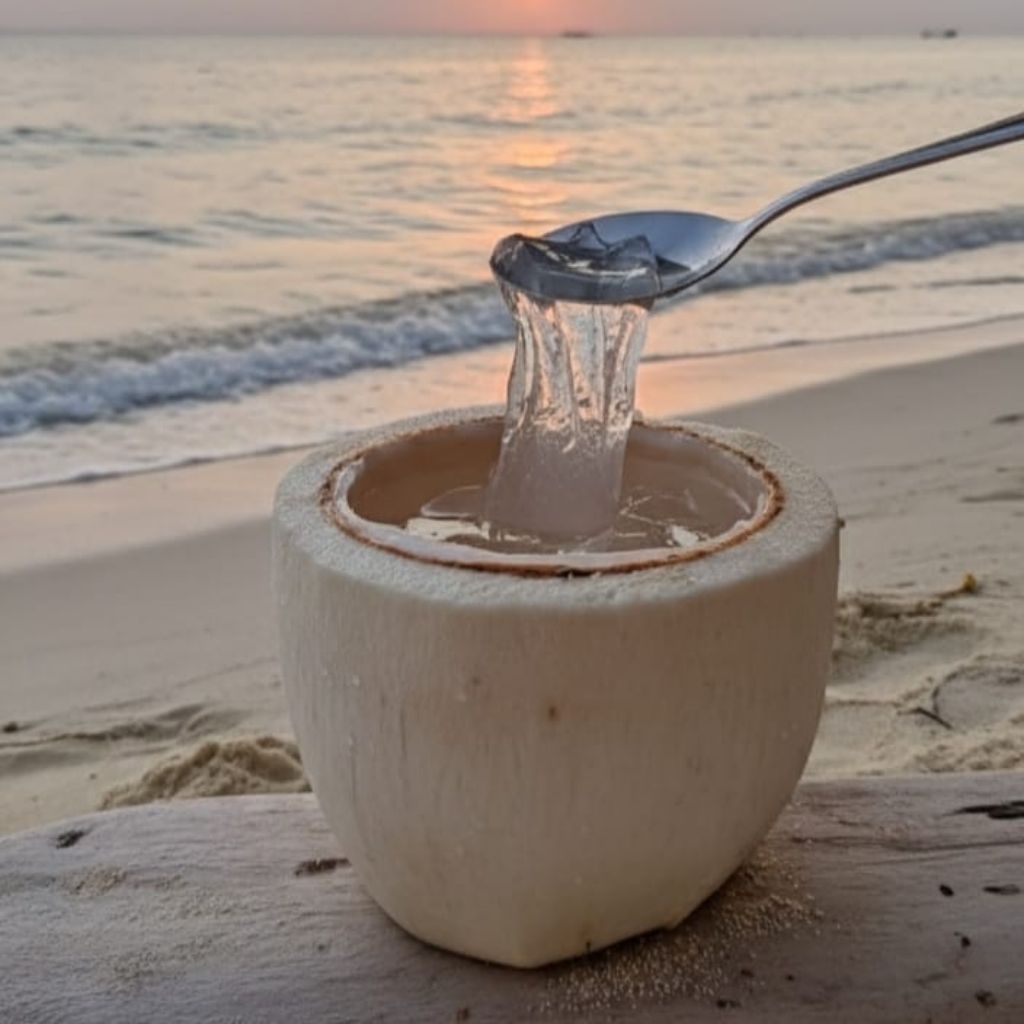 Degan Jelly/ Kelapa Muda Jelly
