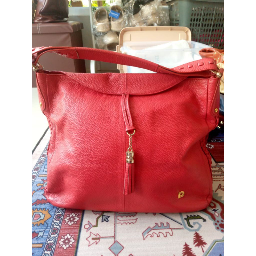 preloved papilon