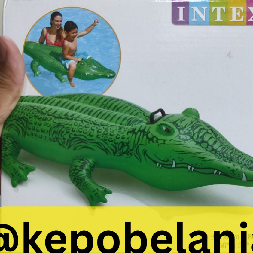INTEX 58546 | PELAMPUNG RENANG LIL GATOR INTEX 58546 | BAN RENANG PELAMPUNG Intex 58546