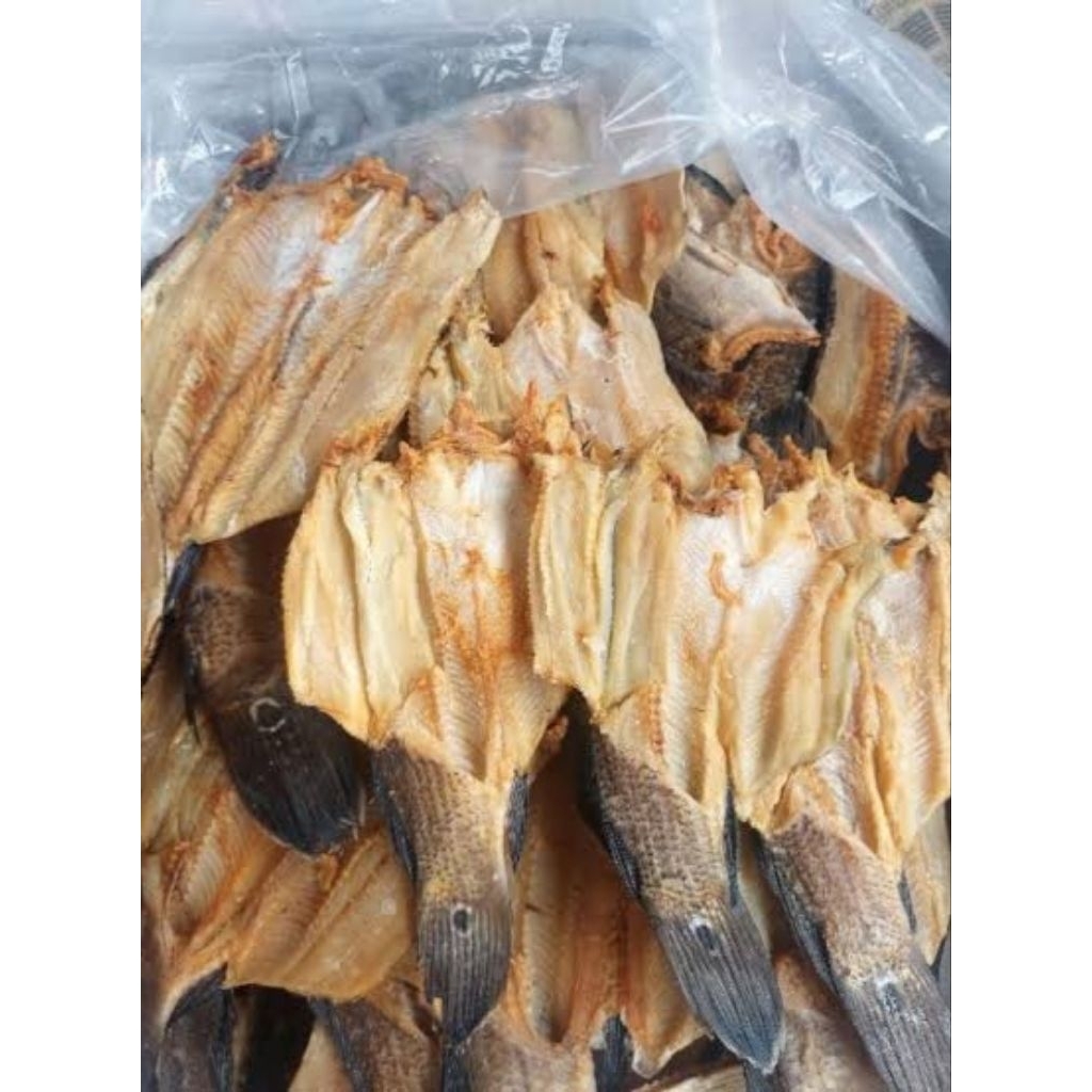 Ikan Asin Gabus Kering Fresh 1 Kg / Ikan Gabus Termurah