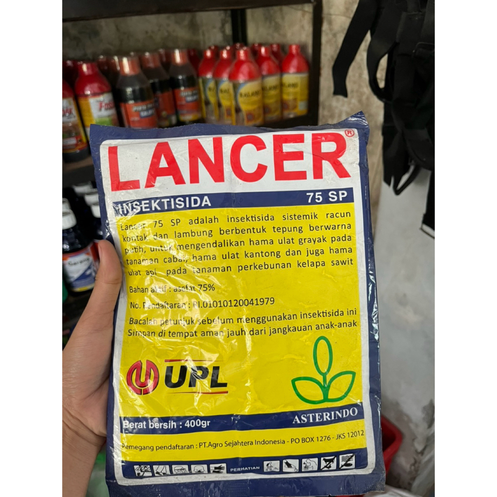 LANCER Asefat 75% untuk mengendalikan hama ulat dan lalat buah pada tanaman
