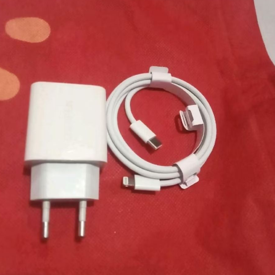 Charger iPhone 11 11 Pro 11 Pro Max Copotan Original Ugreen 20WAT