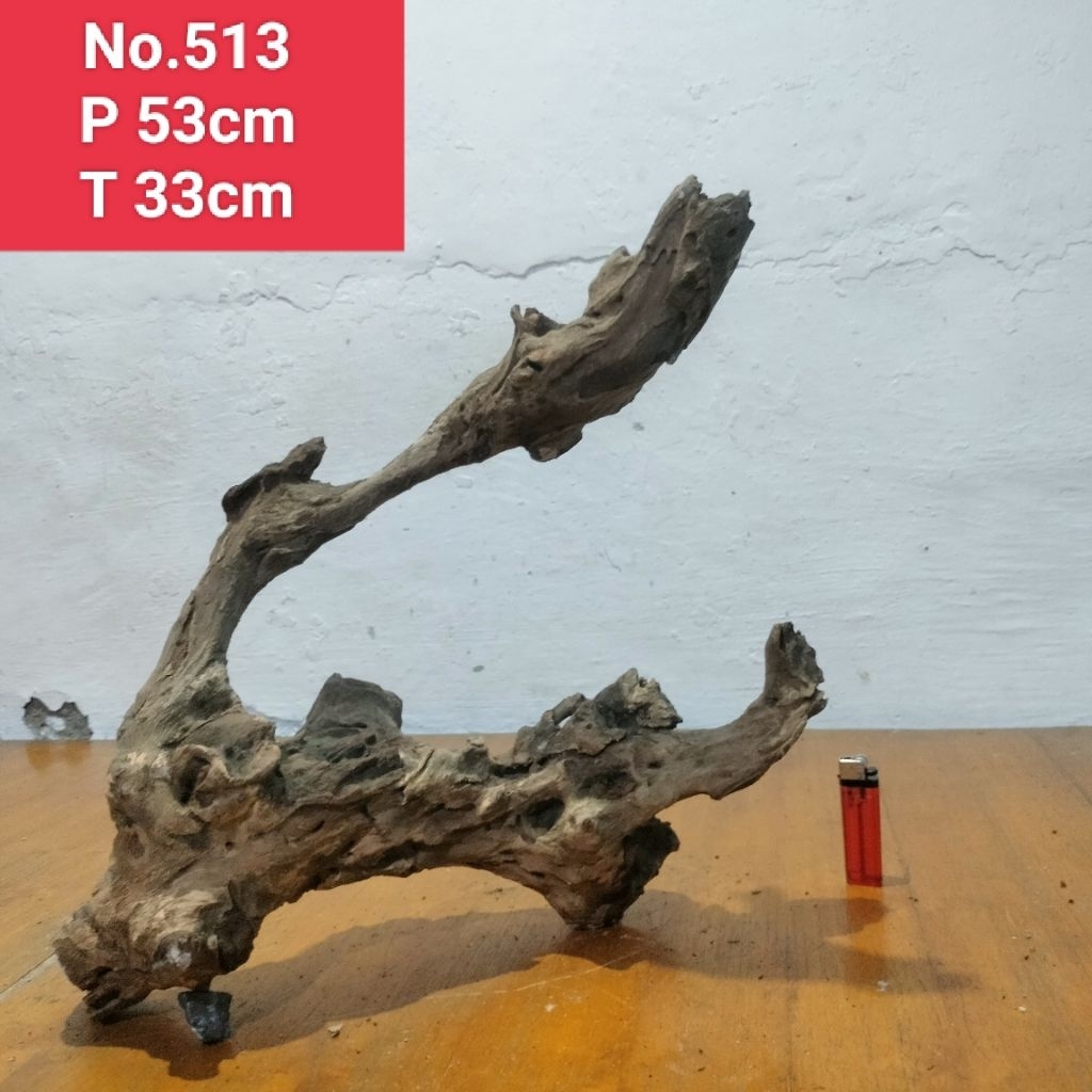 bonggolan akar santigi laut 513 akar dekorasi aquarium aquascape