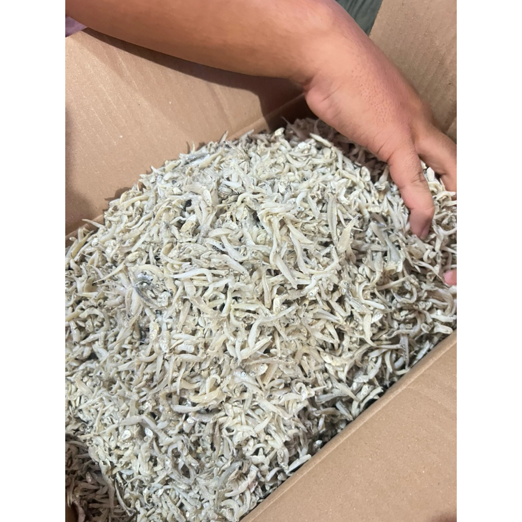 IKAN ASIN TERI NASI 1 / TN1 SUPER LAMPUNG 250gr-1kg