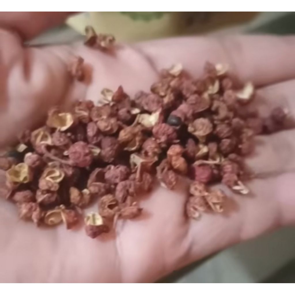 Sechuan pepper / sichuan pepper / biji bumbu mala / szechuan / merica Sichuan