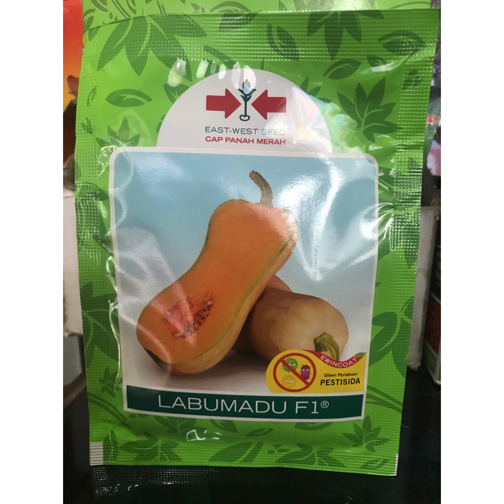Benih Labu Madu F1 100 biji (Butternut)