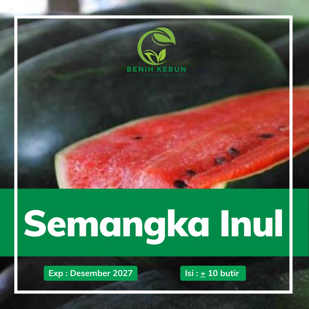 Benih Semangka Inul