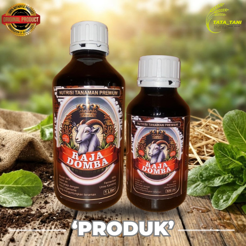RAJA DOMBA PUPUK DAUN ORGANIK FERMENTASI URINE KAMBING