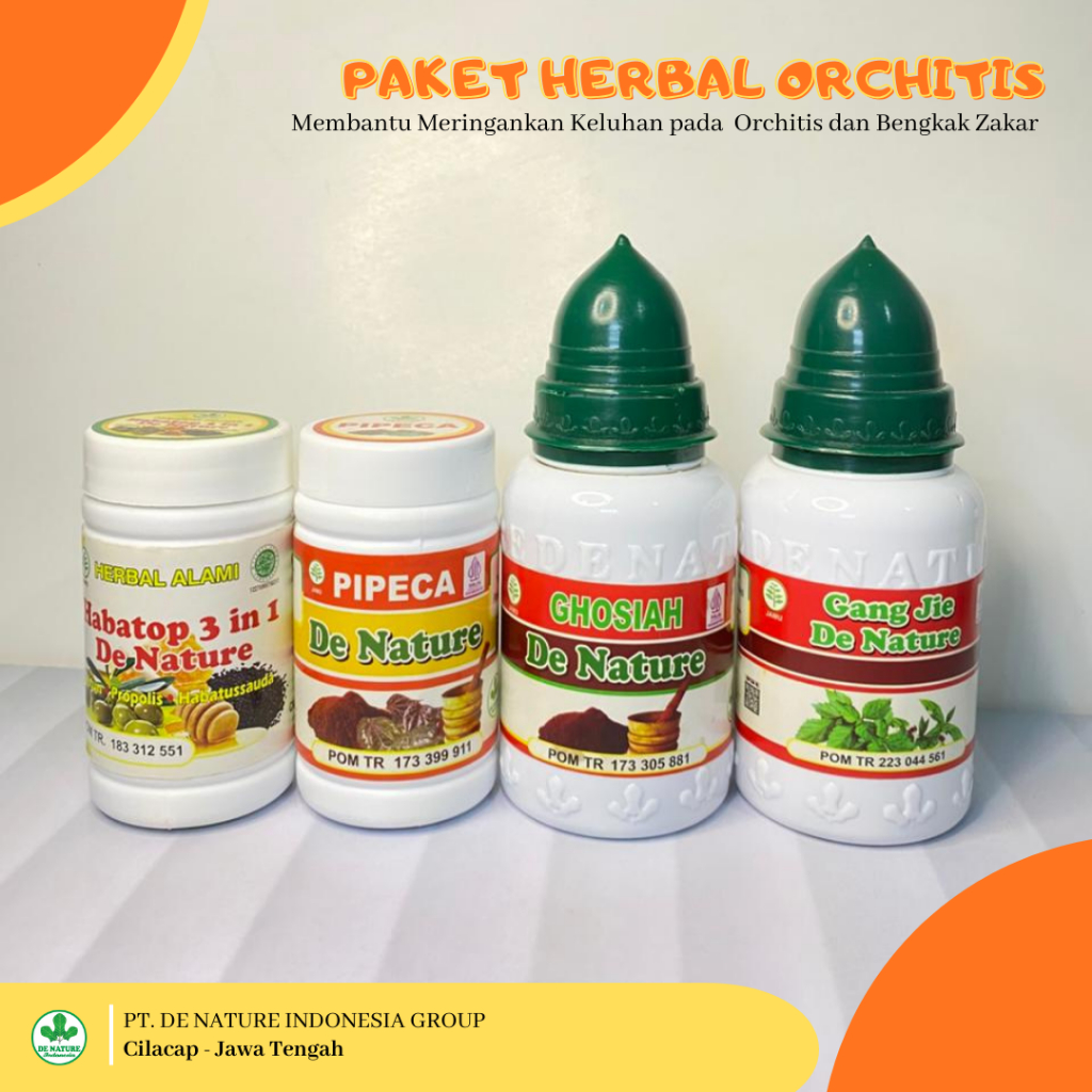Obat untuk Pengempes Benjolan Di Buah Zakar - Obat Zakar Bengkak - Orchitis Aman Herbal 100% Kapsul 