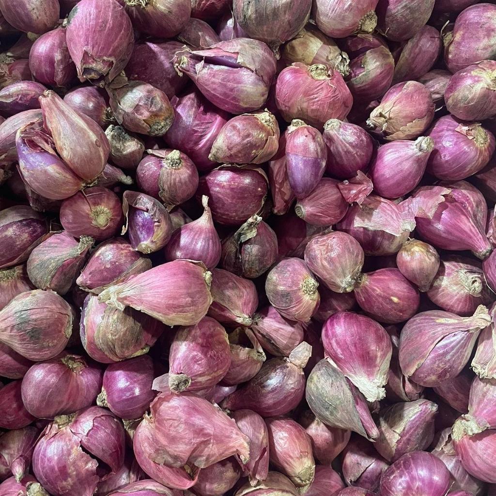 bawang merah brebes | bawang merah besar