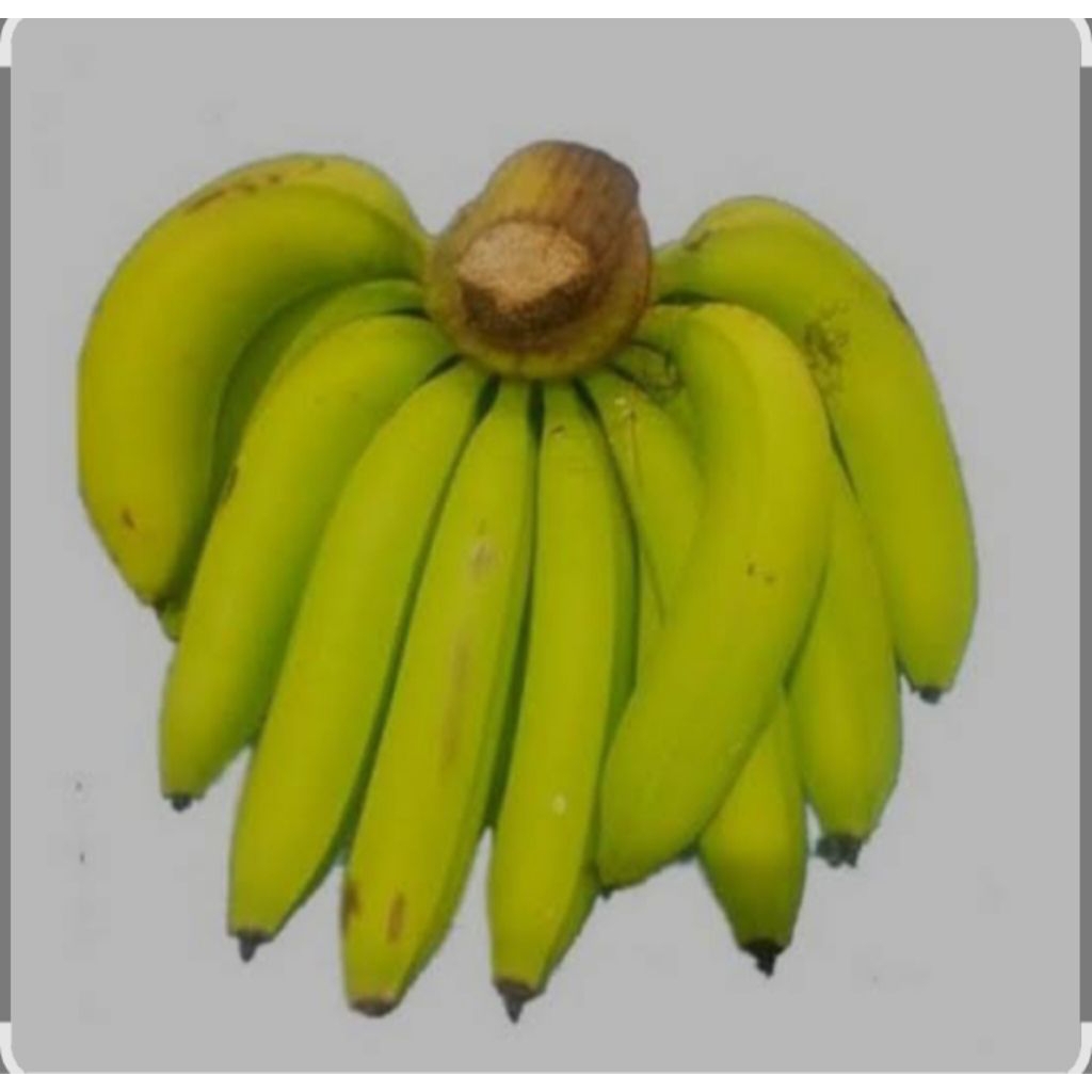 pisang Ambon lumut hijau