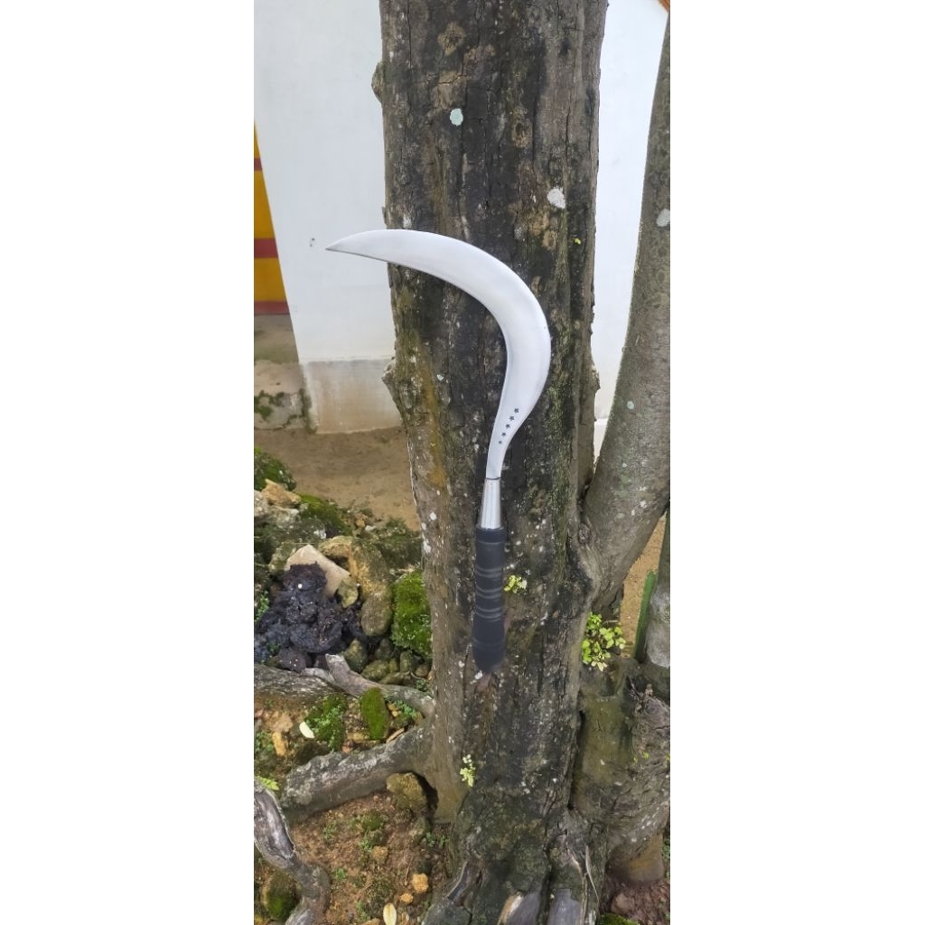 arit/sabit rumput Bintang5 bahan baja per asli madura