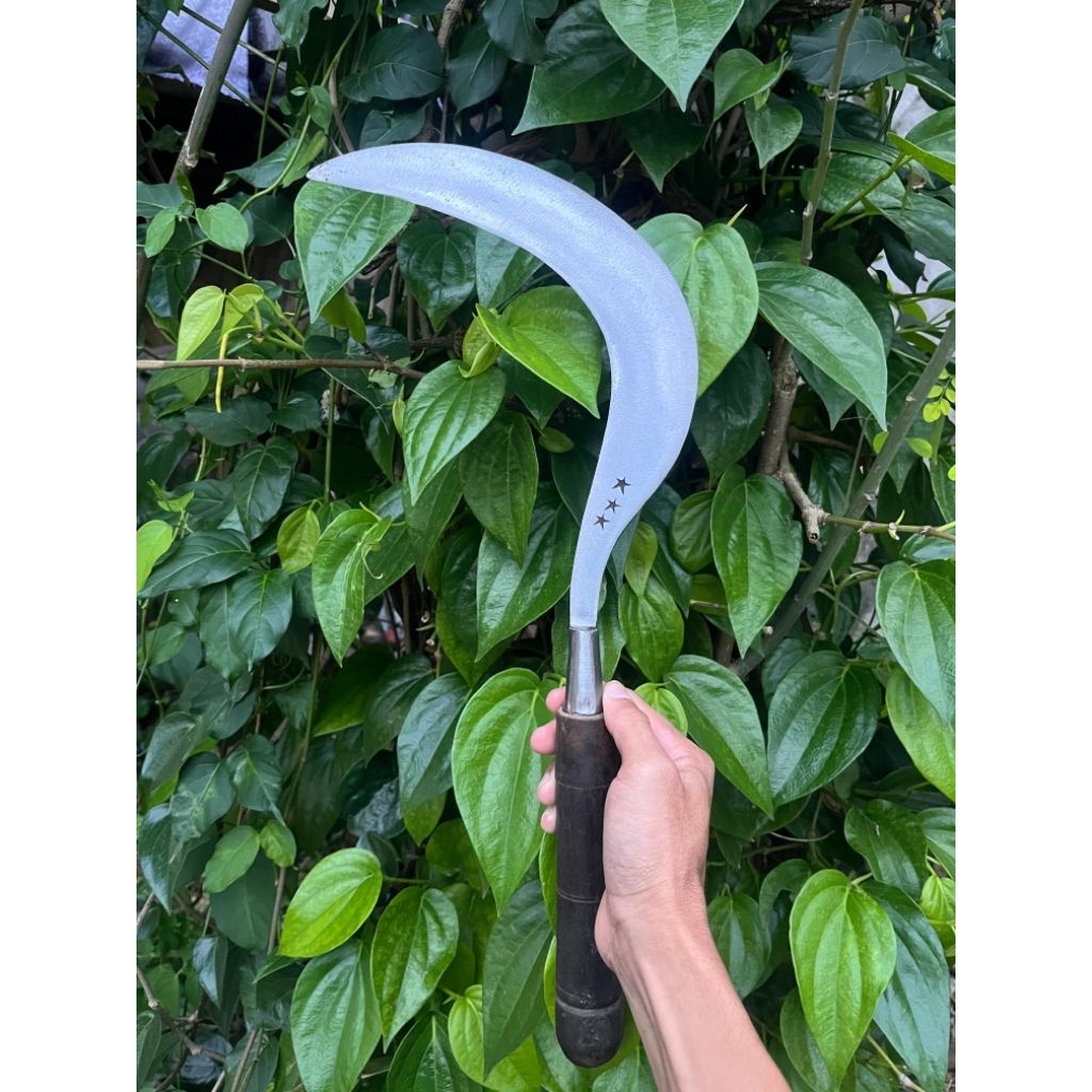 Arit rumput arit padi khas Madura cap bintang tiga baja asli