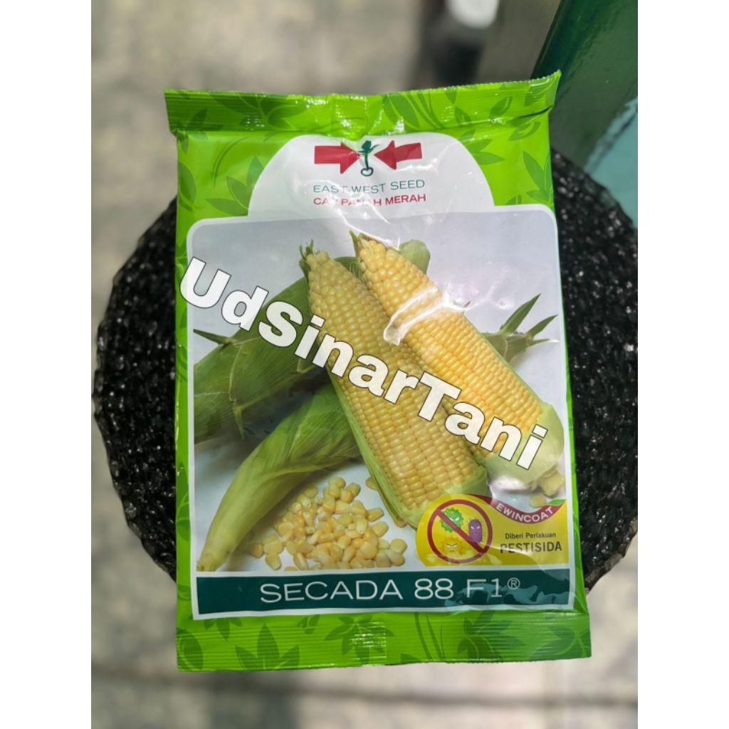 Benih/Bibit Jagung Manis Secada 88 F1 isi 1.750 Butir