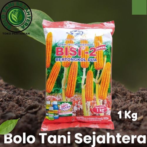 Benih Jagung Hibrida BISI-2 1kg - Bibit Jagung Super Bertongkol Dua Original