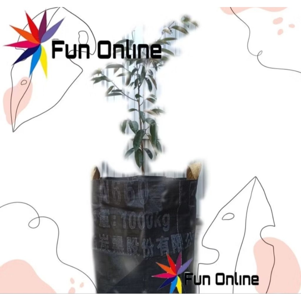 Pot 100 Liter planter bag super pot tanaman banjarmasin