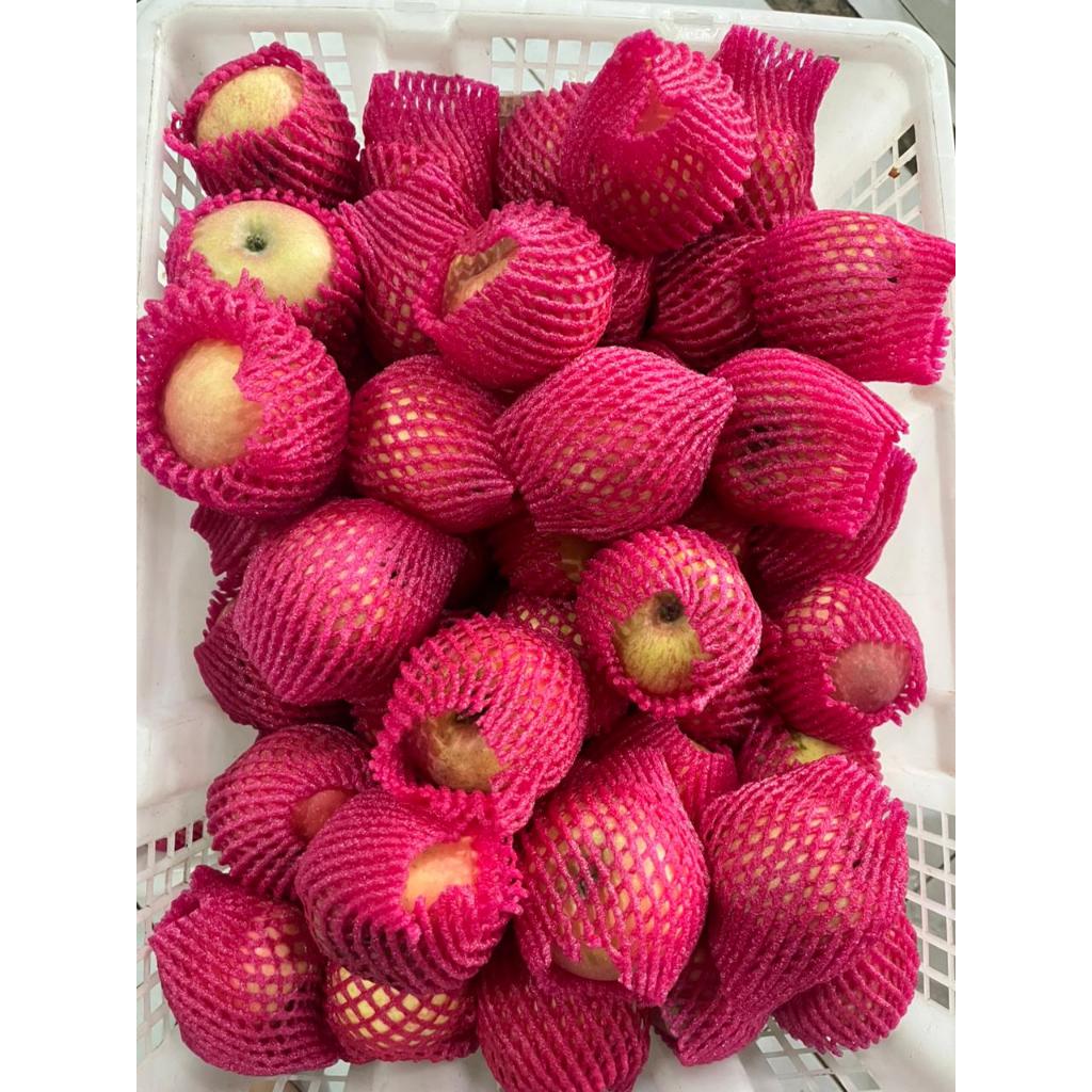 Apel Fuji/apel fresh/apel fuji segar 1kg