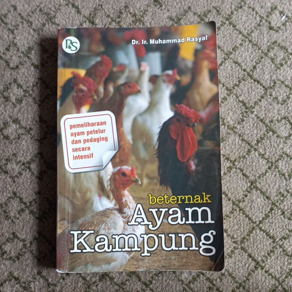 BETERNAK AYAM KAMPUNG