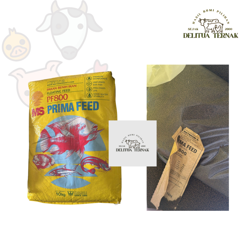 PF 800 MS Prima Feed Per 1 KG (Pakan Benih Ikan Floating Feed)