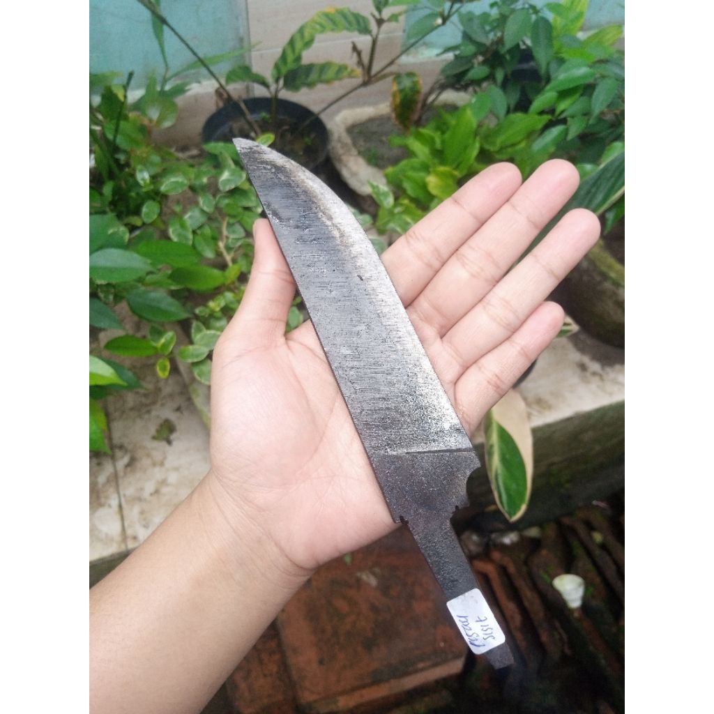 GOLERAN PISAU SESET BAJA PER