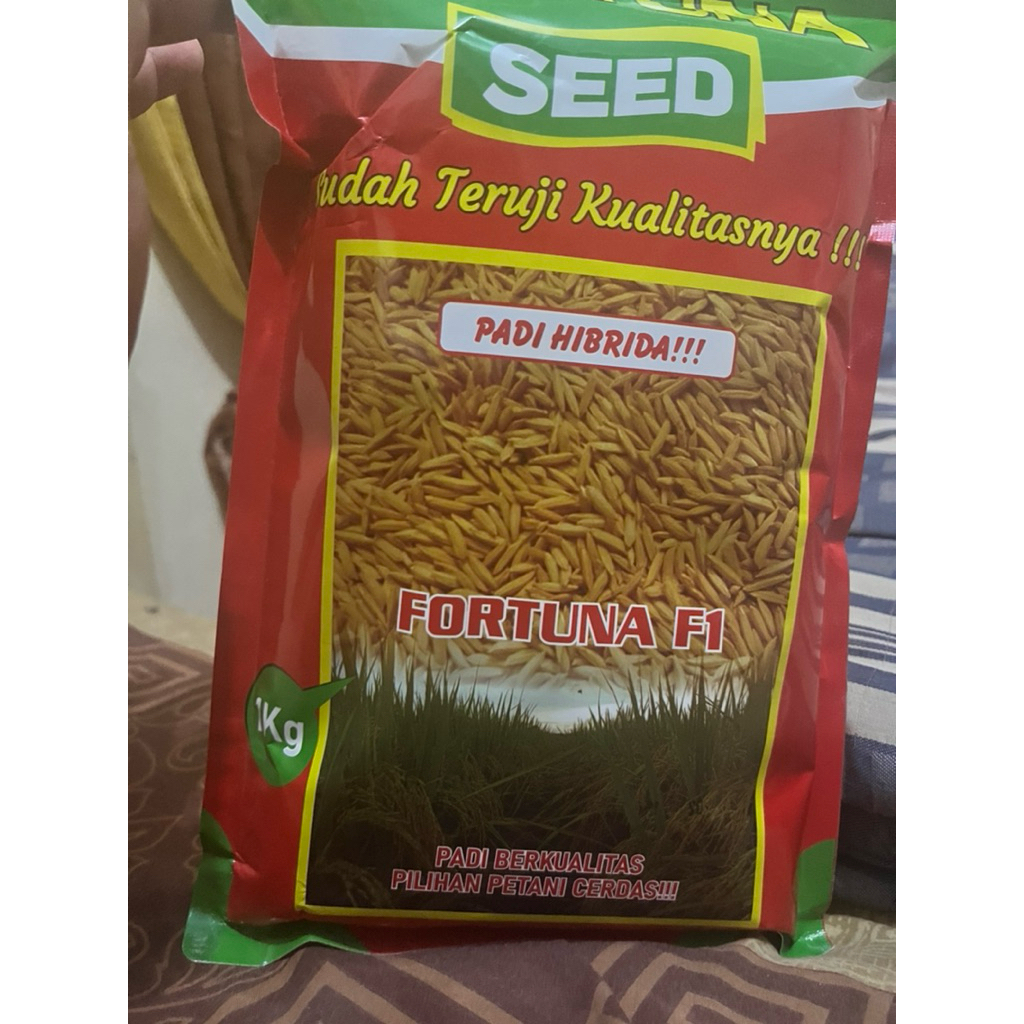 Benih padi hibrida terbaru FORTUNA SEED F1 kemasan 1kg.kemasan pabrik