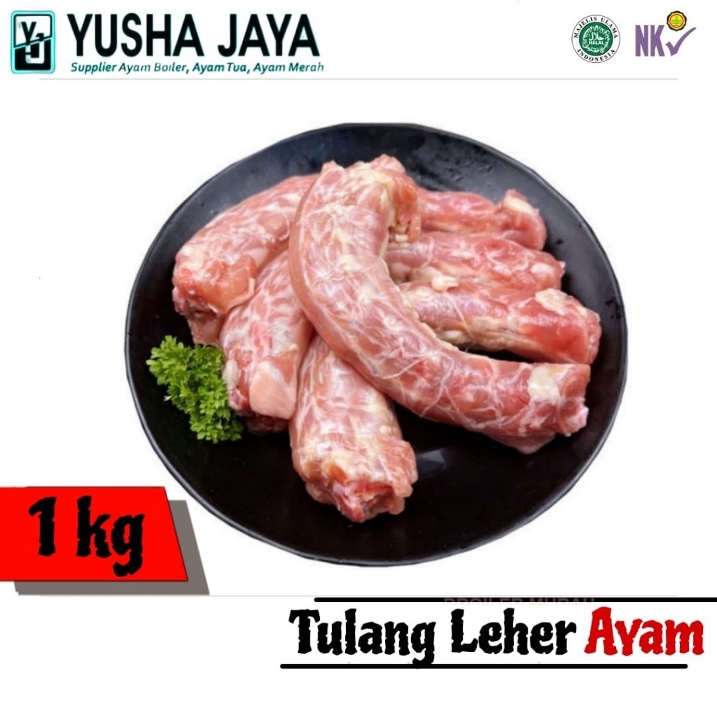 Tulangan Leher Ayam, Tulang Bagian Leher, Tulang Leher Frozen Dan Fresh