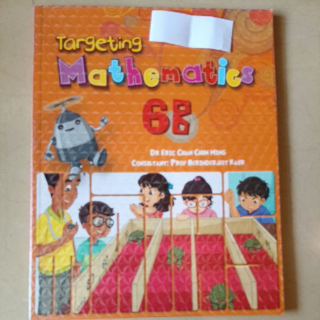 Targeting Mathematics 6B