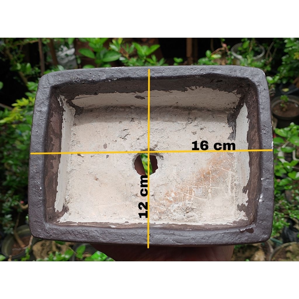 Pot bonsai mame dari bahan semen