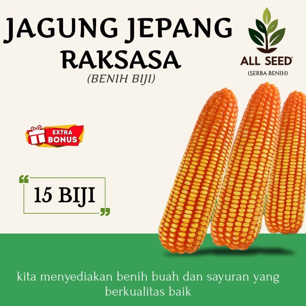 ( 15 biji ) Benih jagung jepang raksasa | bibit biji jagung jepang | jagung jepang hibrida