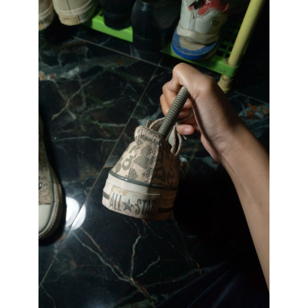 converse basic leopard