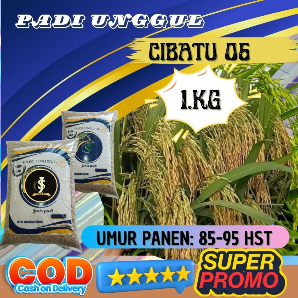 Benih padi unggul cibatu ultra genjah kemasan 1kg Berkualitas / Anti Hama / Anti Roboh - SRI JAYA FA