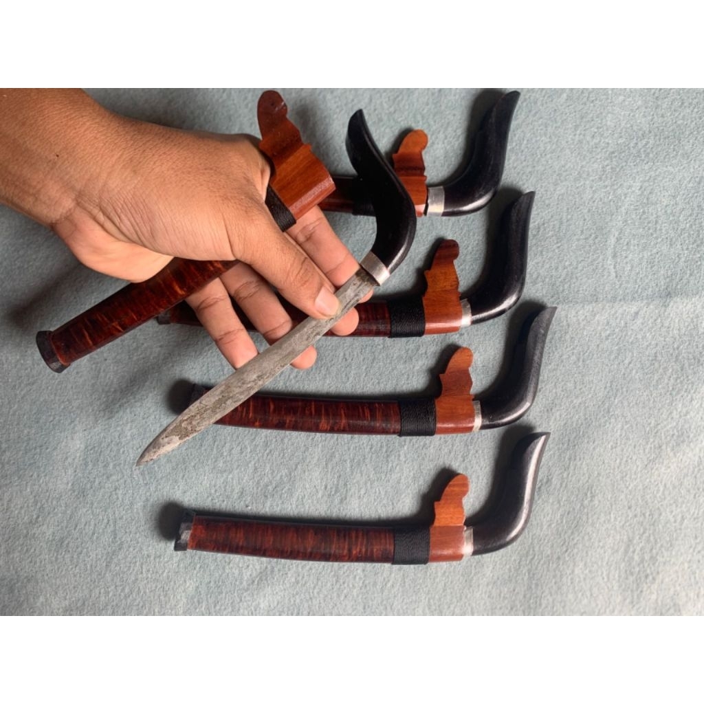 Promo gecong khas Makassar Berpamor pantat keong PB 16cm