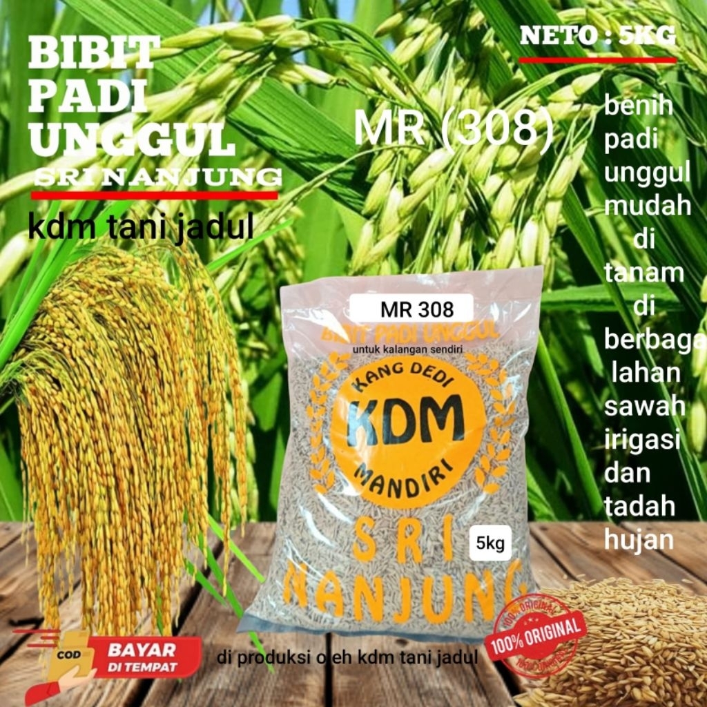 BENIH PADI MR 308 KEMASAN 5KG BENIH PADI UNGGUL