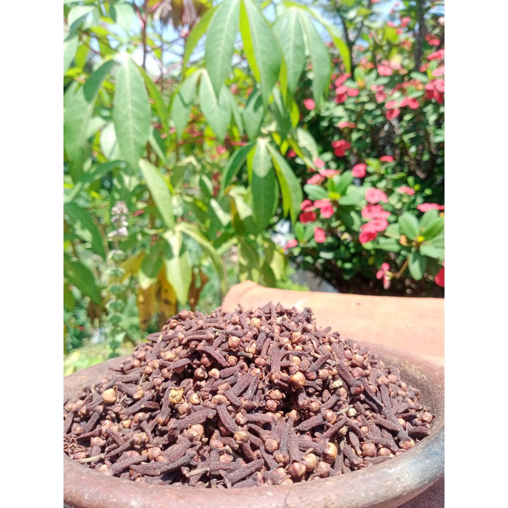 Cengkeh/clove jawa kering super premium grade AA+ 500 gram