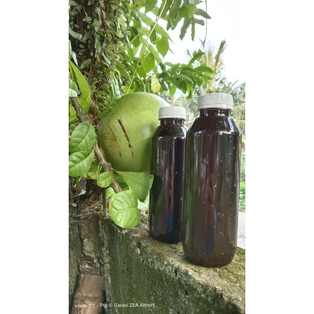 Ekstrak Buah Majapahit (Brenuk) Asli 600 ML