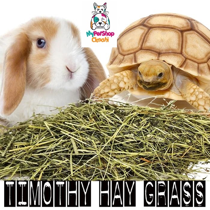 Rumput Hay Makanan Kelinci Timothy Hay 1st & 2nd Cut smart Hay 500gr