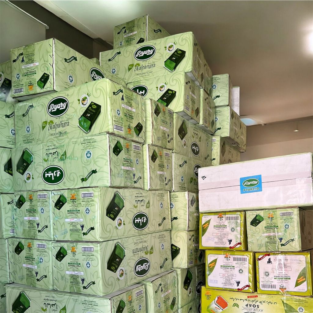 Grosir 1 KARTON Pyary Nalpamara 1 Dus 144pcs Original 100%