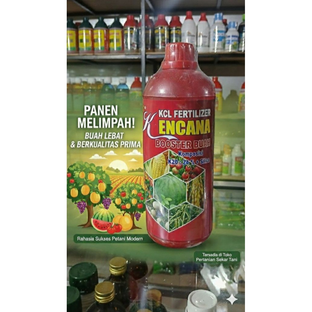 KCL FERTILIZER KENCANA BOOSTER BUAH 1lt