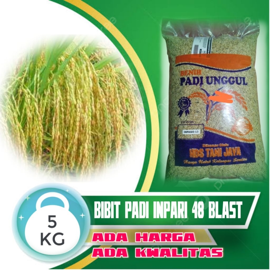 BIBIT PADI VARIETAS INPARI 48 BLAST KEMASAN 5KG