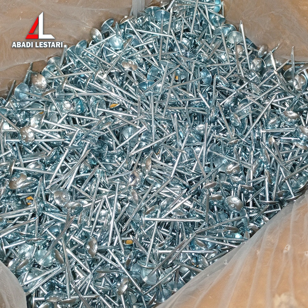 PAKU SENG 1 KG / PAKU PAYUNG SENG / PAKU ASBES 2 INCH JUAL PER KG